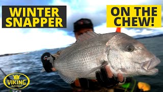 Aucklands BEST Winter Kayak Fishing Spot! Kayak Fishing New Zealand