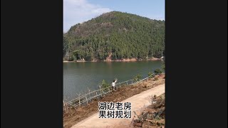 湖边区域终于下定决心要改造了。