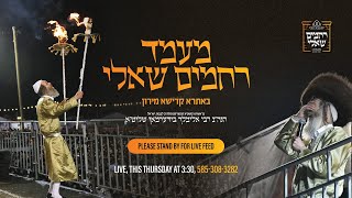 LIVE: R' Elimelech Biderman Leads Historic Gathering on Behalf of Cholei Yisroel  - 9/7/23  - 3:30PM