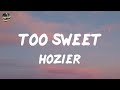 Hozier - Too Sweet (lyrics)