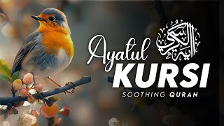 Ayatul Kursi Full  - آیت الکرسی | Beautiful Recitation | At Taubah