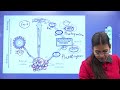 कृषि वनस्पति विज्ञान बोर्ड छात्रों के लिए क्लासेज topic photosynthesis botany