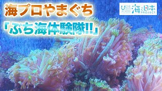 「ぶち海体験隊Ⅱ」周防大島の海に起きた異変を子どもたちが調査 日本財団 海と日本PROJECT in やまぐち 2021 #13