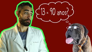 Quanto equivale um ANO de CACHORRO? | Dica Veterinária #23