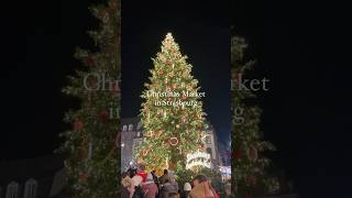 🇫🇷 フランス、ストラスブールのクリスマスマーケットに行ってきた🎄🧸✨ #フランス#christmas#strasbourg