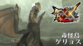 【MHXX】モンハンワイルズに復活するゲリョスに会いに行ってみた！