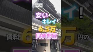【No.626】安い❣️キレイ❣️新築1DKが誕生🐣#大阪賃貸 #1人暮らし #同棲部屋 #格安物件 #新築マンション #賃貸暮らし