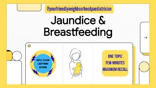 Jaundice & Breastfeeding | IBCLC Exam Lightning Review | ABM Protocol 22 Explained