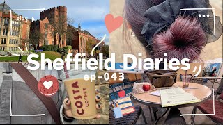 [Sheffield_diaries_043]イギリス語学留学week9🇬🇧早起き(4時台)から始まる１週間🥱勉強、自炊、イギリスでセルフヘアカラーした🍇 Wake up 4 am. Uni life