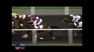 21.01.2012 Meydan (Dubai UAE) 6.Race Saeed \u0026 Mohammed Al Naboodah Group - Handicap 1.400 m