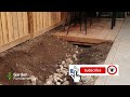 diy rain garden build start to finish with a surprise feature