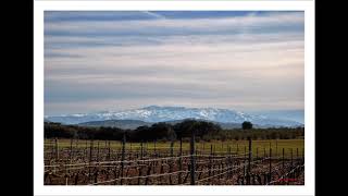 ALHAMA DE GRANADA. BODEGA ARANZADA.