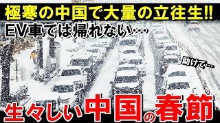 【海外の反応】EVで帰省し大号泣！極寒の中国で大量に立ち往生！トヨタ潰し大失敗！春節に大寒波の中国でEV電欠の大惨事に！EVが大量にダウン！【世界のJAPAN】