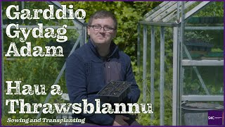 Garddio Gydag Adam | Hau a Thrawsblannu | Sowing and Transplanting