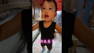 門票只要💰50元！玩具多到選擇障礙，小孩嗨瘋的玩具博物館！#親子 #親子景點 #親子旅遊 #親子活動 #母嬰 #育兒 #育兒日記 #育兒生活 #育兒日常 #玩具 #博物館