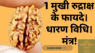 एक मुखी रुद्राक्ष का महत्व||ek mukhi rudraksh #rudraksha #lordshiva@satyugiaatma#motivation #facts