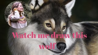 pastel painting tutorials - Wolf painting with soft pastels - Speed drawing wildlife art