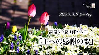 2023年3月5日「主への感謝の歌」詩篇30篇1節〜3節