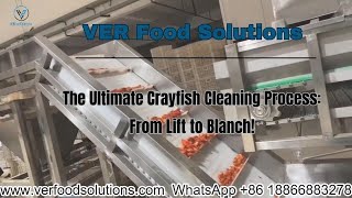 VERFOODSOLUTIONS Lift Crayfish Conveyor Air Bubble Washing Blanching Air Bubble Washing Line