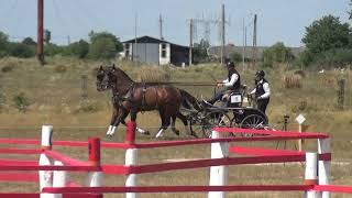 Szabolcs Tamás KOVÁCS (HUN) - CAI***, H2, Oşorhei (Roumania), marathon, obstacle Nr. 1, 7.08.2021