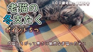 【老猫の冬】老猫の冬支度５つのポイント