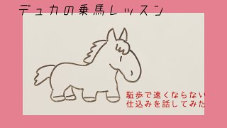 【乗馬】駈歩をゆっくりできる仕込みを話してみた【馬ブログ】