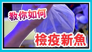 A saltwater fish bathes in freshwater? 【阿宅 X Dane's Aquarium】