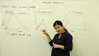 Free Topic l twitch,summation,tetany l CBSE CLASS 11 BIO | UNIT 5 | ANIMAL PHYSIOLOGY l L64