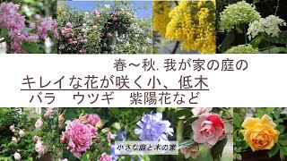 【春～秋】我が家の庭のキレイな花が咲く小、低木　バラ　ウツギ　紫陽花など