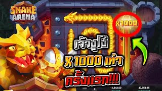 Snake Arene : สล็อตRelax (ตัดจากไลฟ์) X1000 วันนี้งูไม่โง่นะบอกเลย!!!