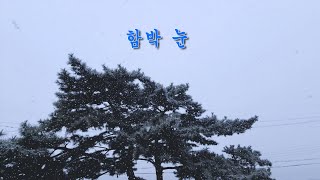 펑펑 쏟아지는 함박눈, 듣기좋은 눈 내리는 소리asmr / Relaxing Snowfall