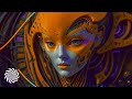 Sonic Species - The Way [video clip / 8K]
