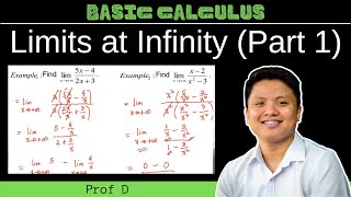 FINDING THE LIMITS AT INFINITY | PART 1 | PROF D