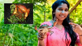 കണ്ടൽ കാടിനുള്ളിലെ ഞണ്ട് പിടുത്തം/aivins vlogs/ഞണ്ട് കറി/crabfry/