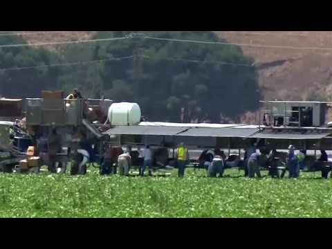 Court Orders Ban On Harmful Pesticide, Says EPA Violated Law - YouTube