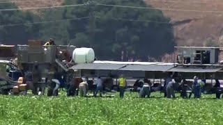 Court Orders Ban on Harmful Pesticide, Says EPA Violated Law