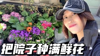 买了一后备箱的花，种进院子，花园更美了，心情也更美了｜北美花卉种植｜加拿大温哥华适合种在院子里的花｜喜阴花卉