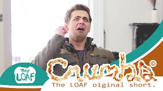 Crumbs Craigslist Roommate