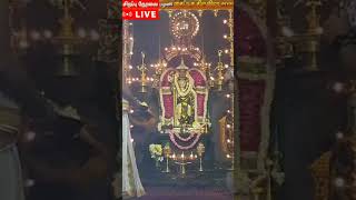 Palani Thaipusam 2022 LIVE | பழனி தைப்பூச திருவிழா 2022 | Spiritual Mantra | Murugan Temple |