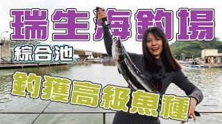 【台客去釣魚】目標原本是鱸魚卻來了隻澎湖箱網海鱺！大家說這樣有沒有賺到？ feat.林口瑞生海釣場