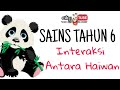 Interaksi Antara Haiwan Sains Tahun 6