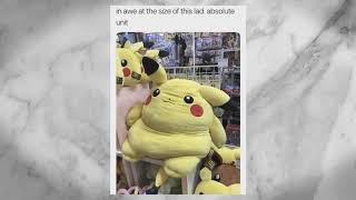 Absolute Unit