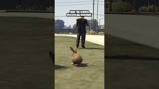 Bunny Trolling in GTA 5