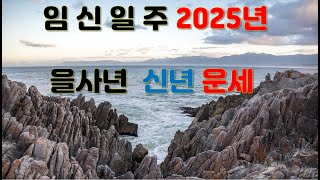 임신일주, 2025년 을사년 신년운세 사주분석