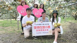 卓蘭高接梨成熟時,張世龍,阿龍伯梨園When the grafting pears are ripe in Zhuo Lan Town,Miaoli County._20230721