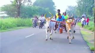 பெரியமாடு பதினெட்டாங்குடி