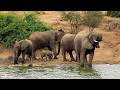 LIVE at the waterhole - 27 April 2026