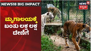 NEWS18 BIG IMPACT | D Boss ಕರೆಗೆ ಧ್ವನಿಯಾಗಿದ್ದ ನ್ಯೂಸ್18; ರಾಜ್ಯದ ಮೃಗಾಲಯಗಳಿಗೆ ಬಂತು ಹಣದ ನೆರವು!