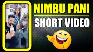This Dog Brody is Always Funny 😆 #shorts | Harpreet SDC