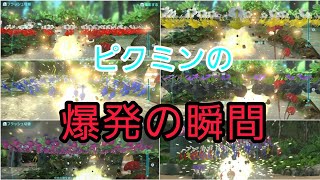 【ピクミン3】ピクミン達が爆発で飛んでいく動画